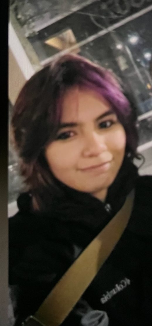 Missing Teen Alert: Michelle Grant 17, Poughkeepsie New York